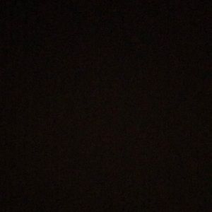 Meet your Posher, Ella